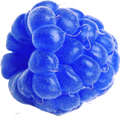 Floating Fruit Item 2